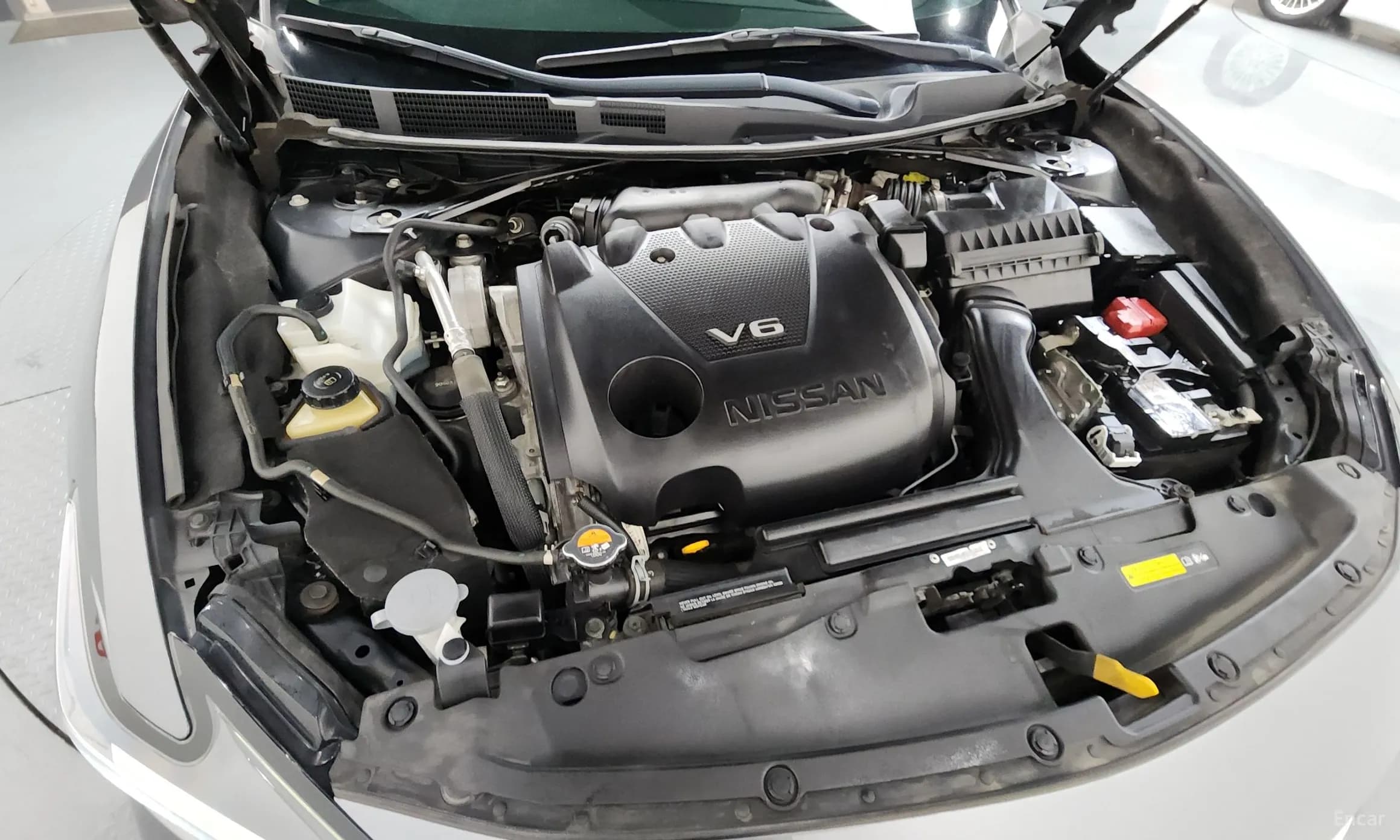 Maxima (A36)