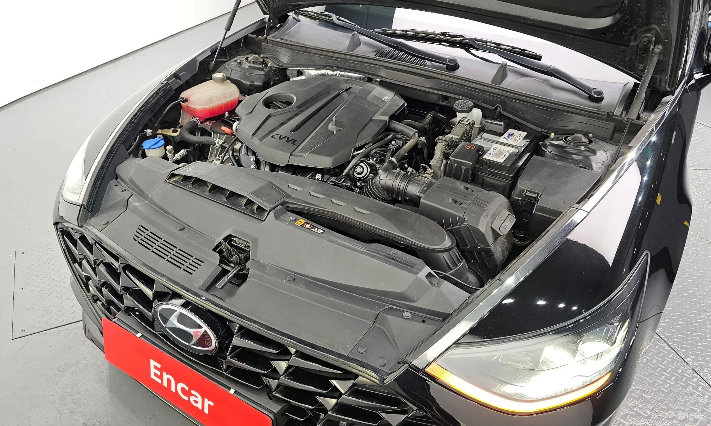 Sonata (DN8)
