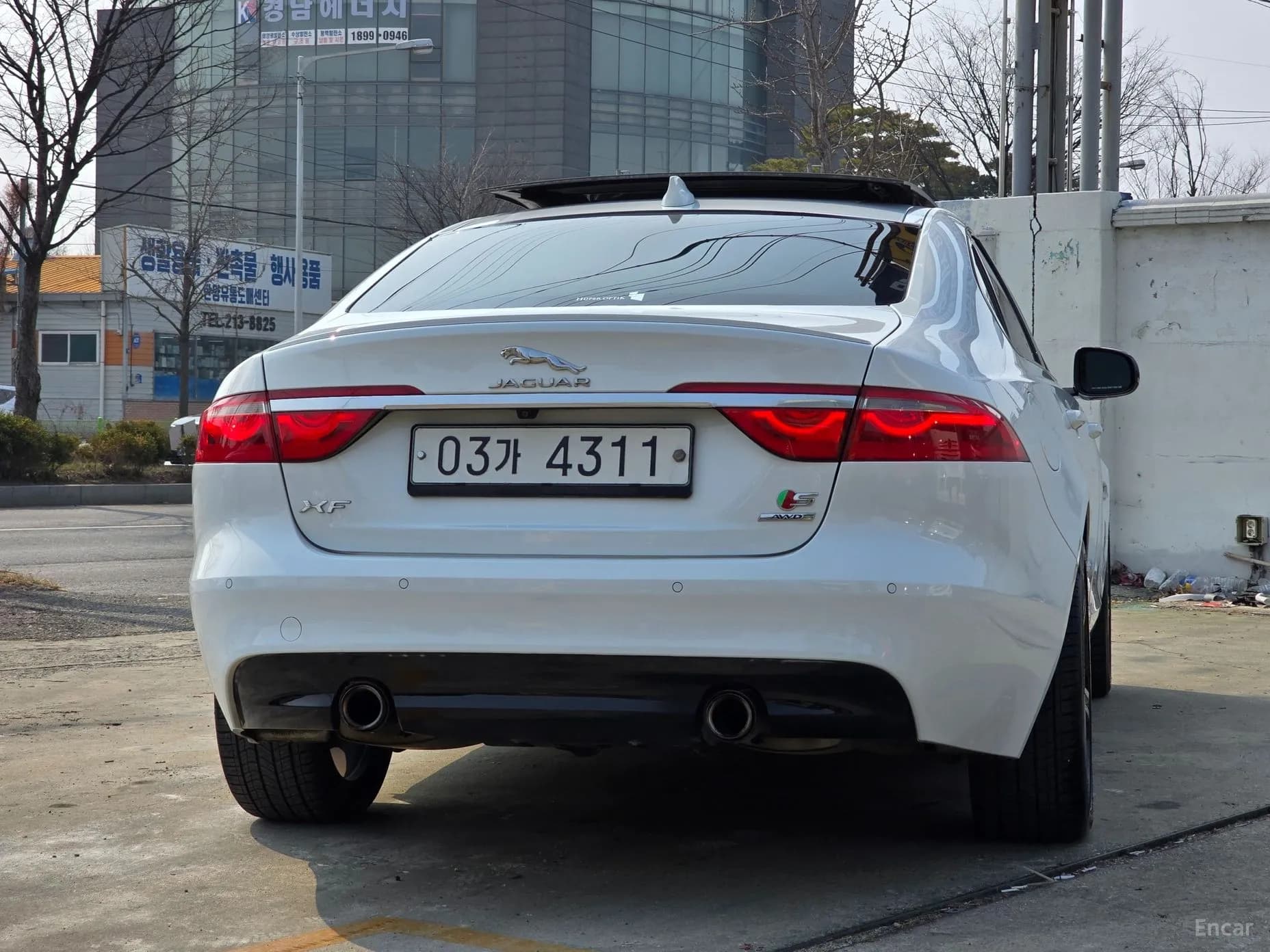 XF (x260)