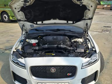 XF (x260)