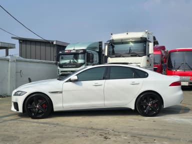 XF (x260)