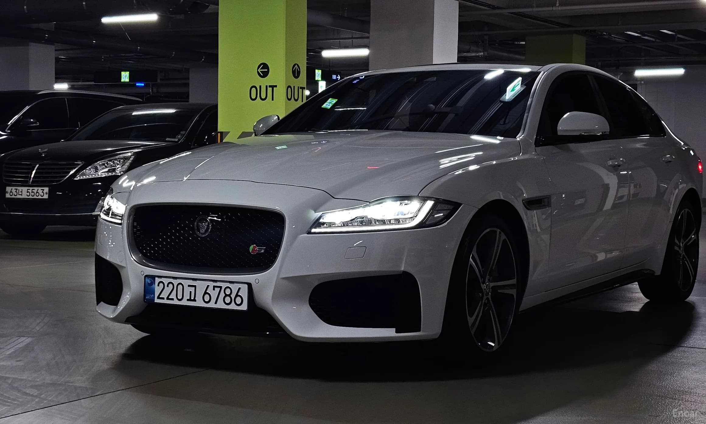 XF (x260)