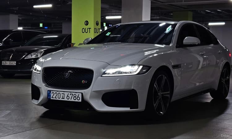 XF (x260)