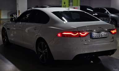 XF (x260)