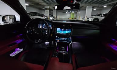 XF (x260)