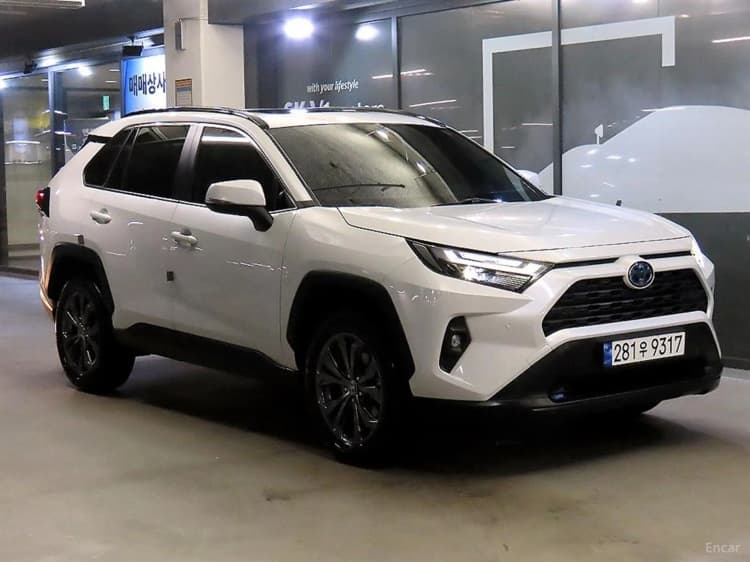RAV4 5th Generation