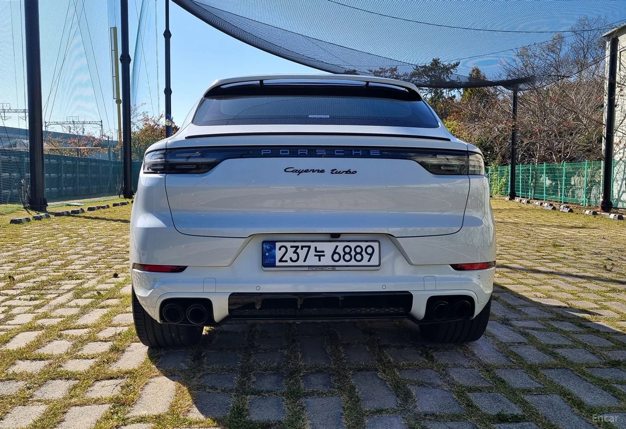 Cayenne (PO536)