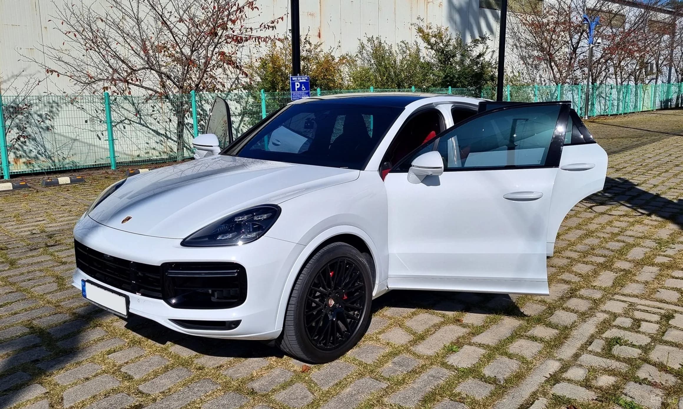 Cayenne (PO536)