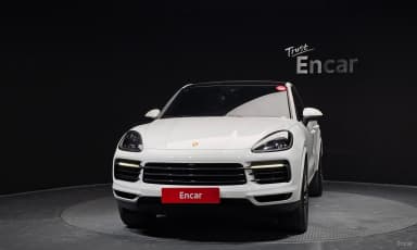 Cayenne (PO536)