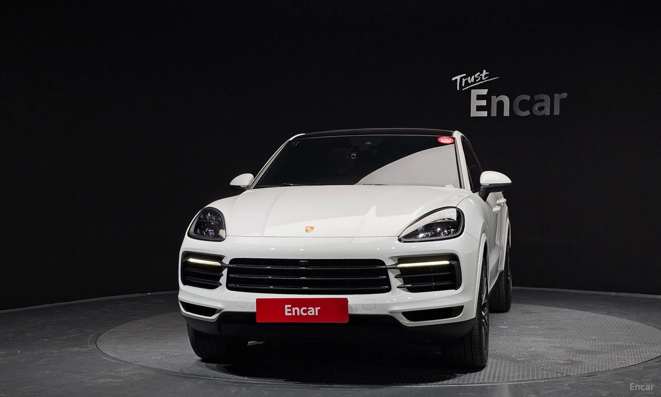 Cayenne (PO536)