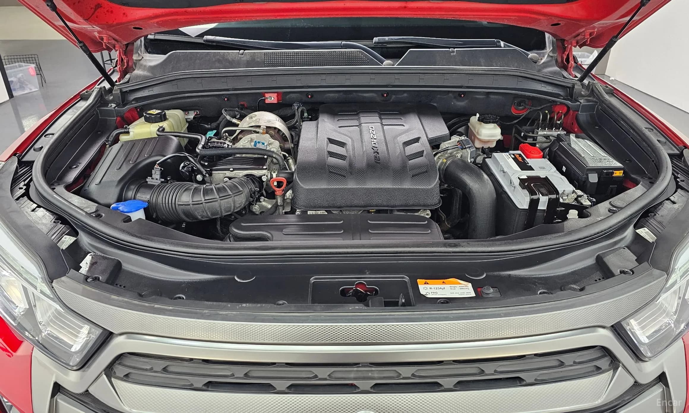 Rexton Sports