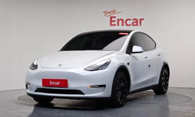 Model Y