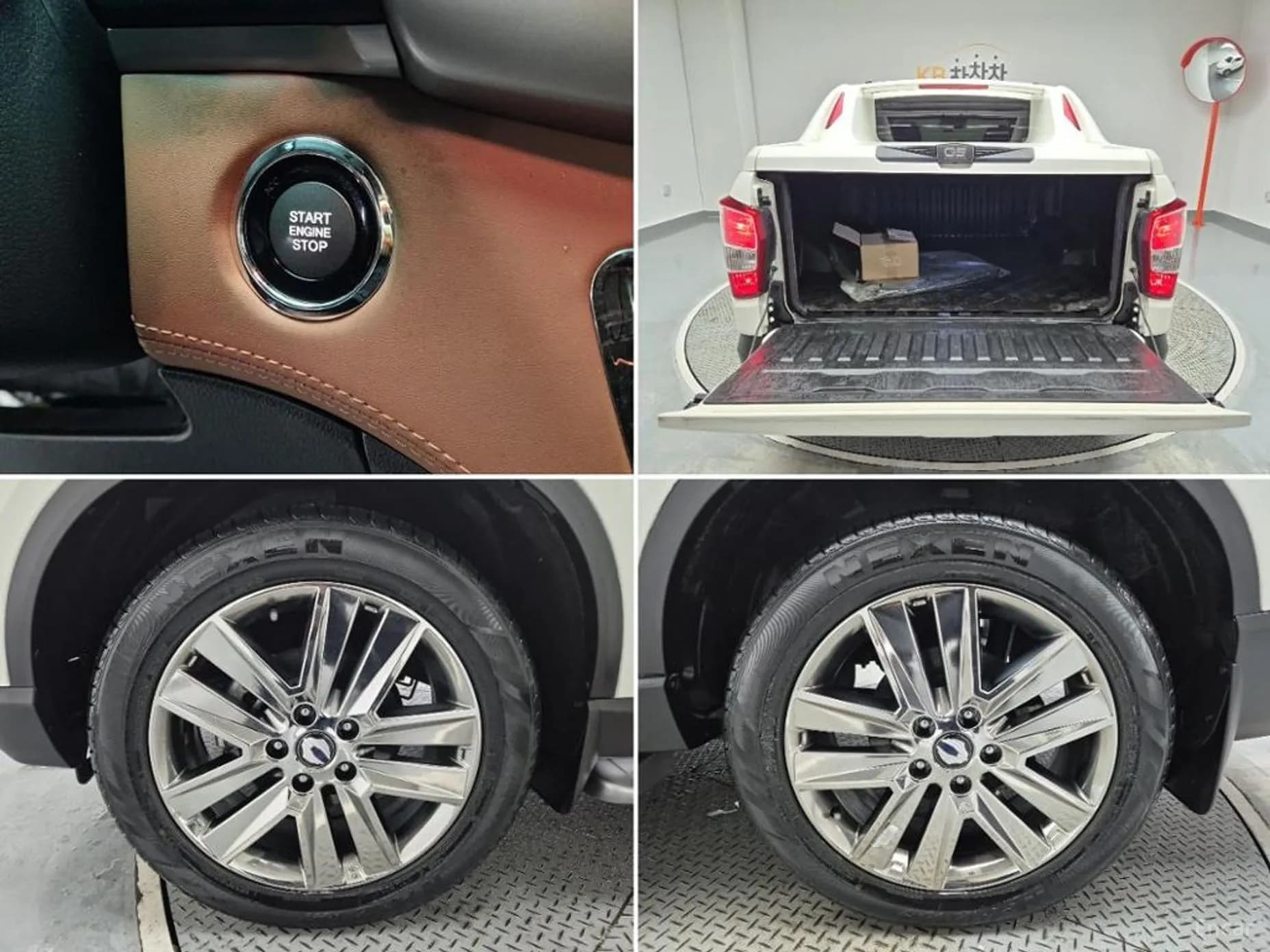 Rexton Sports
