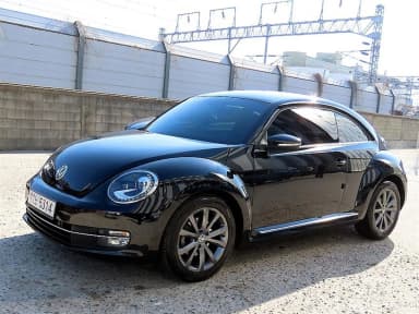 The Beetle