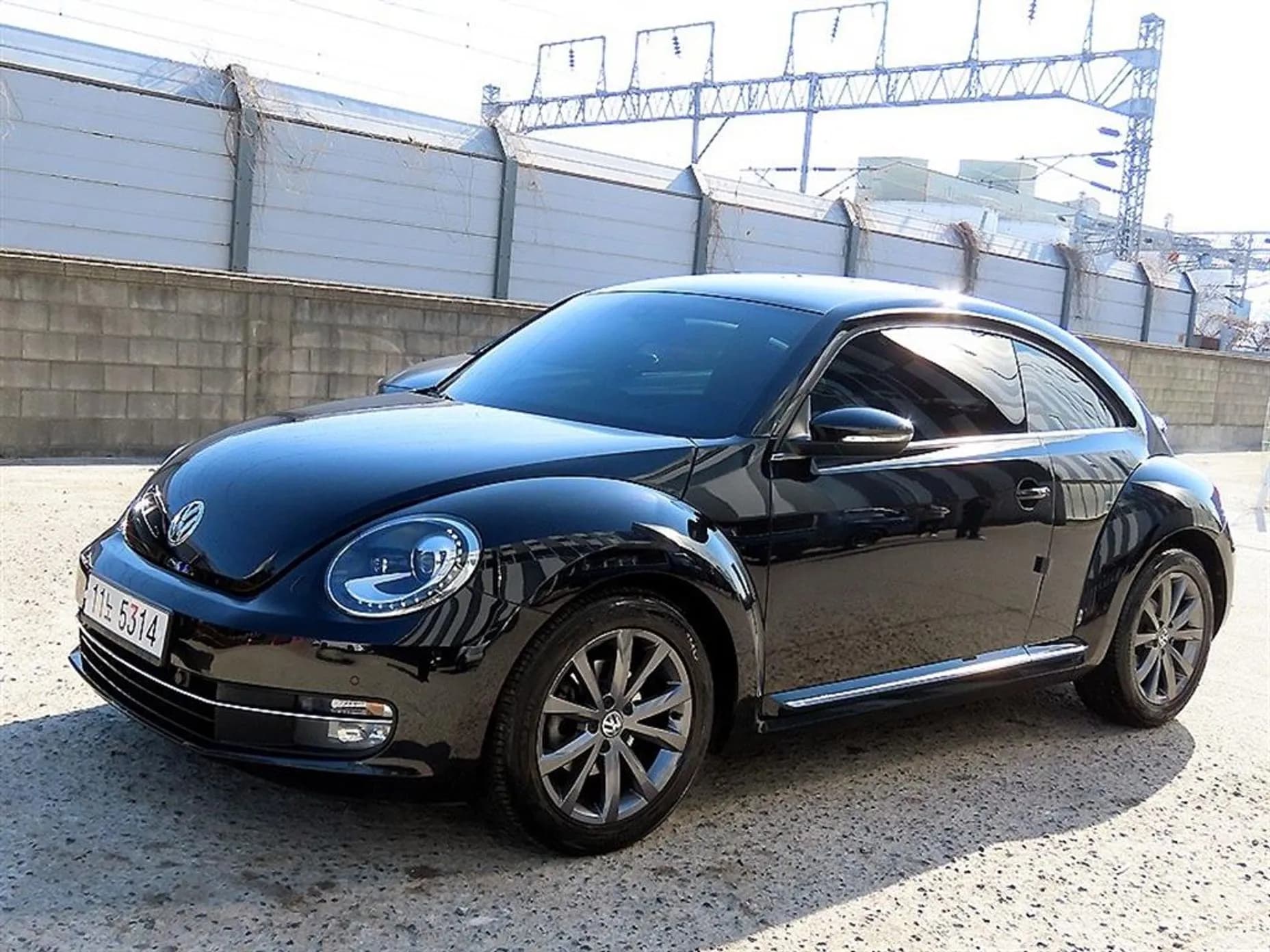 The Beetle