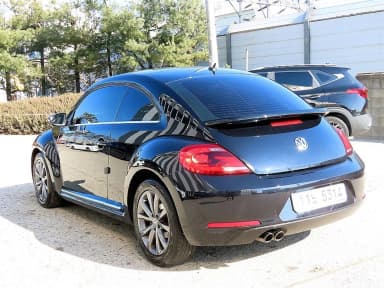 The Beetle