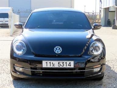 The Beetle