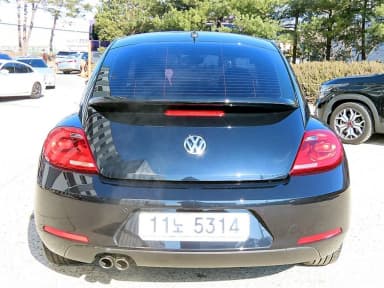 The Beetle