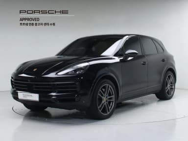Cayenne (PO536)