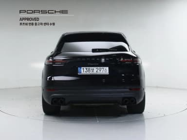Cayenne (PO536)