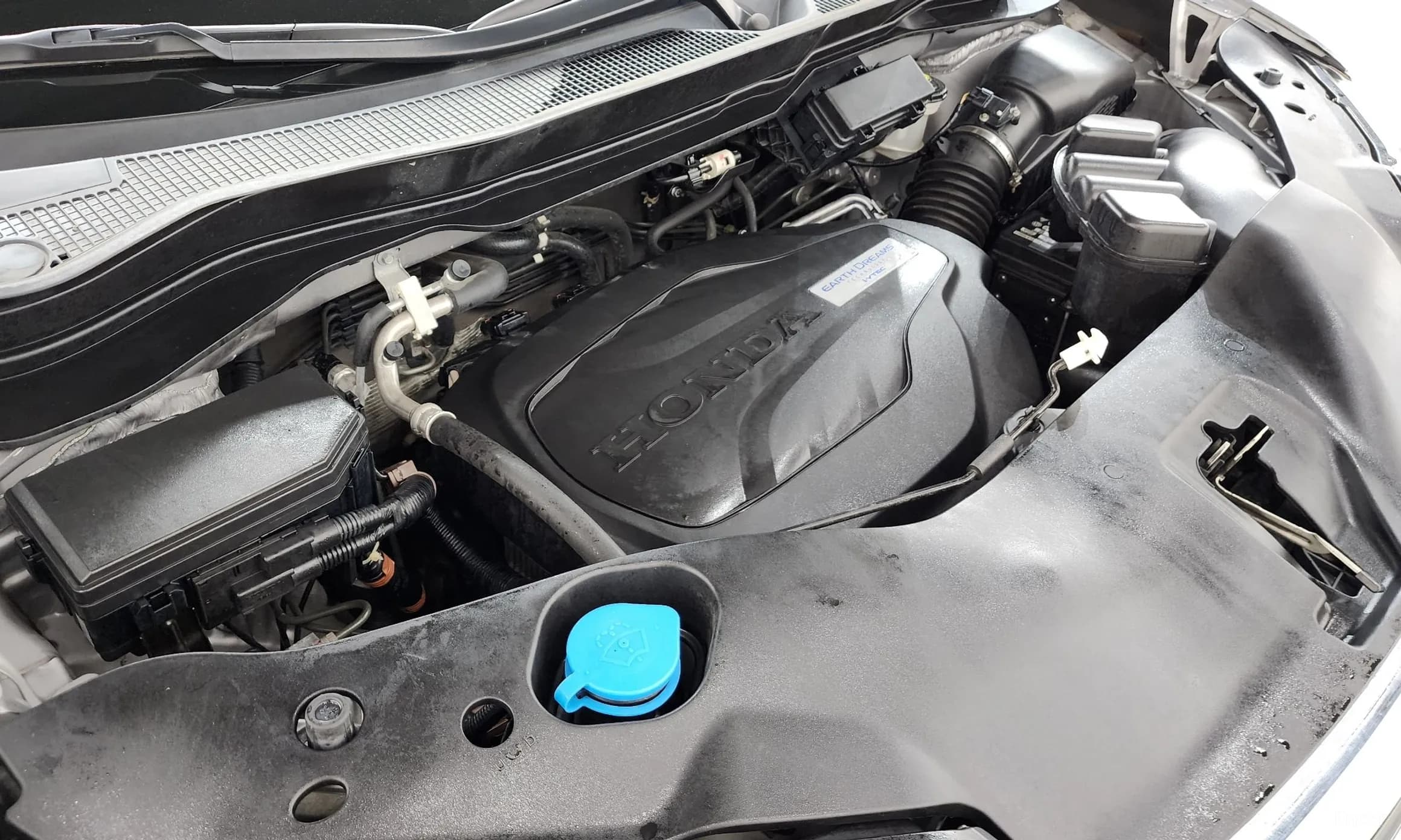 Pilot 3rd Generation