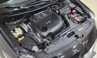 Maxima (A36)