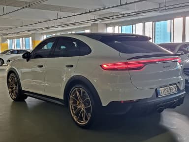 Cayenne (PO536)
