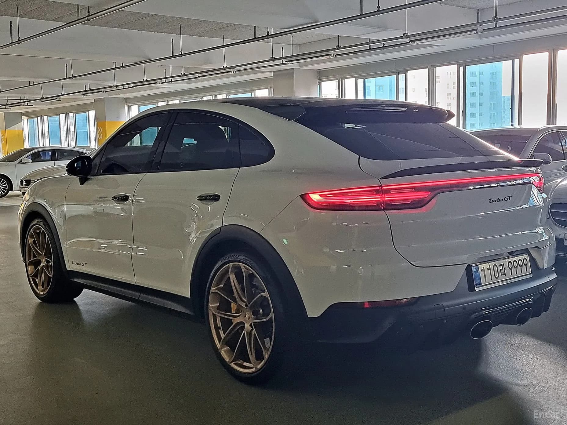 Cayenne (PO536)