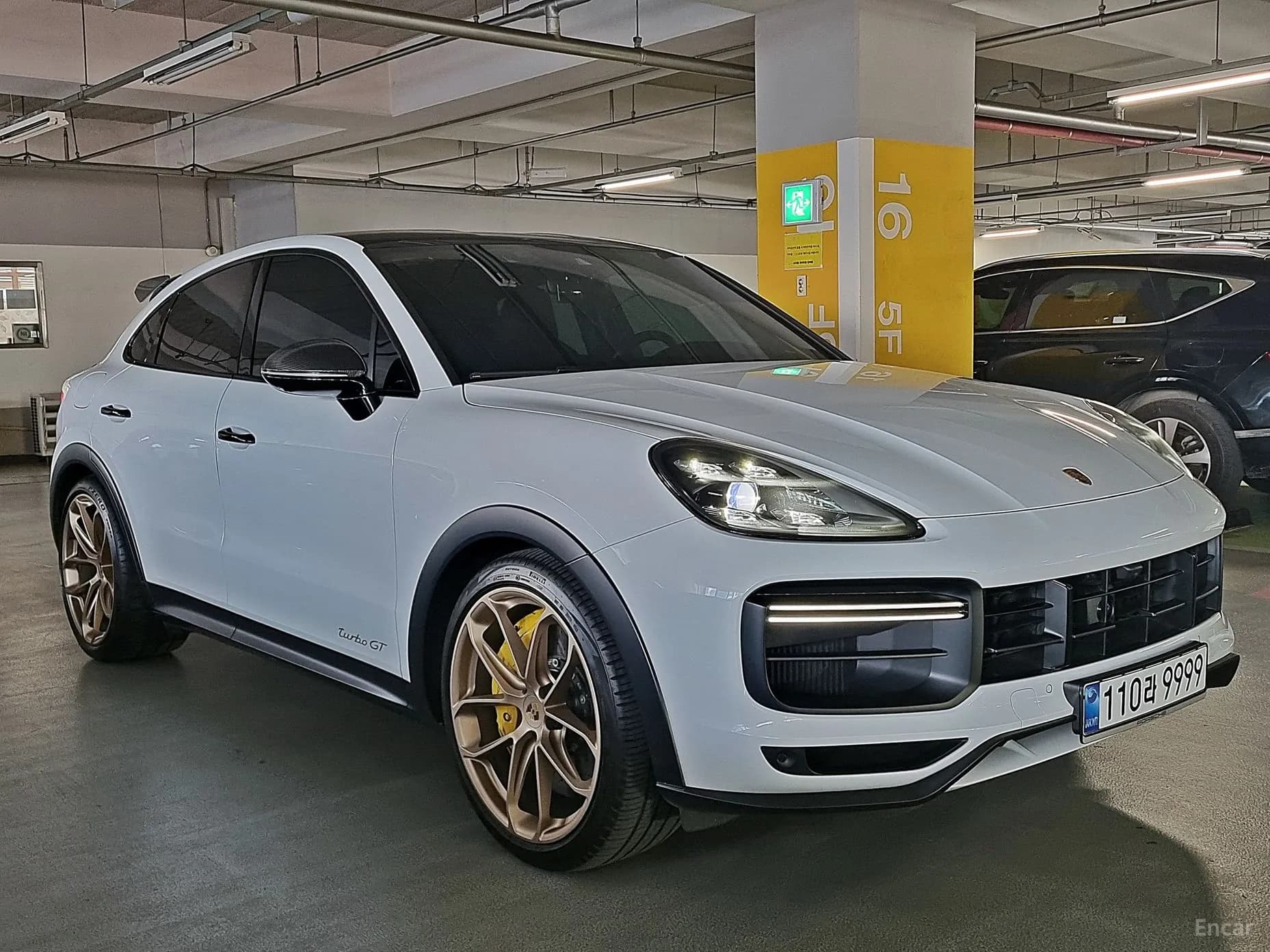 Cayenne (PO536)