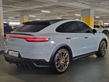 Cayenne (PO536)