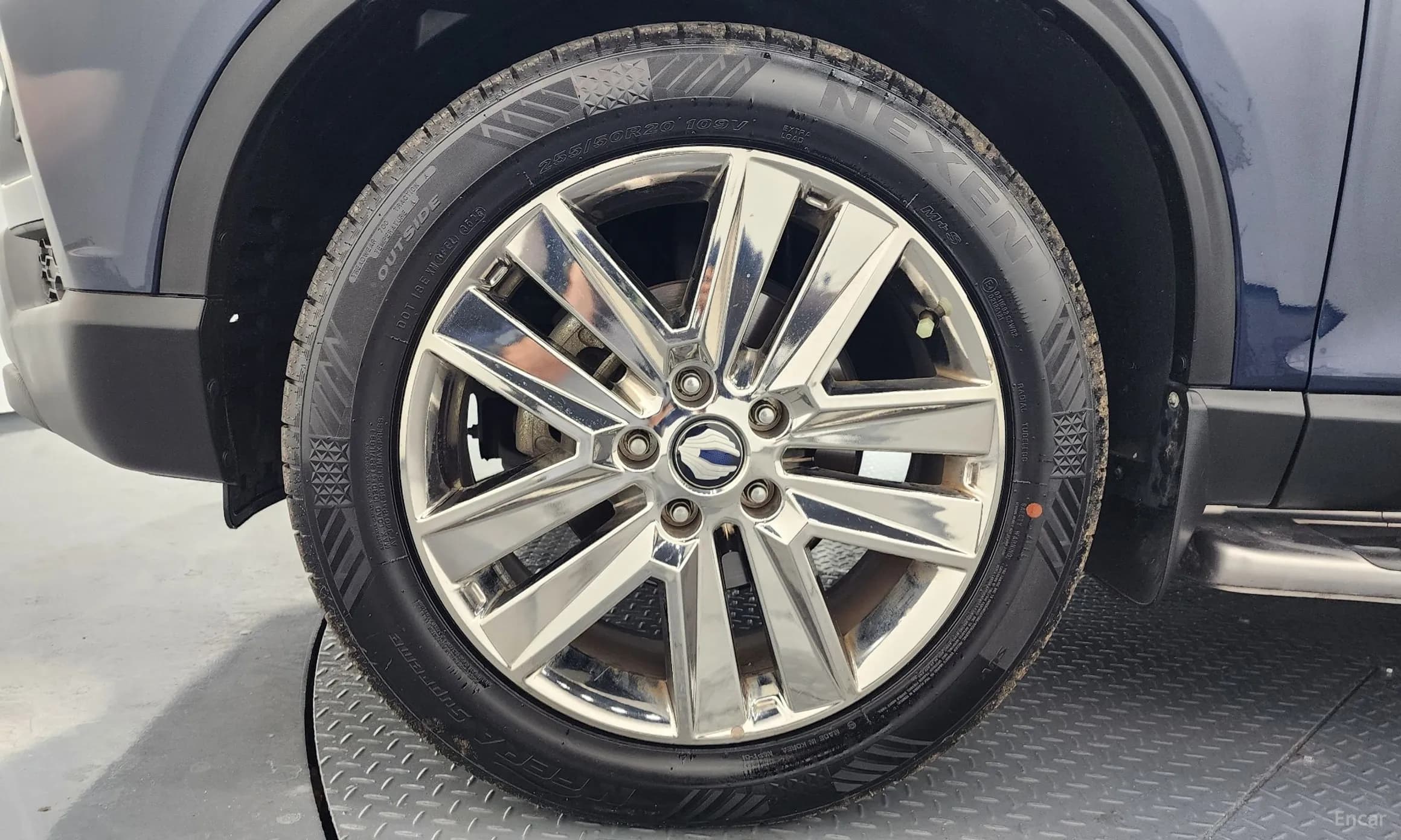 Rexton Sports