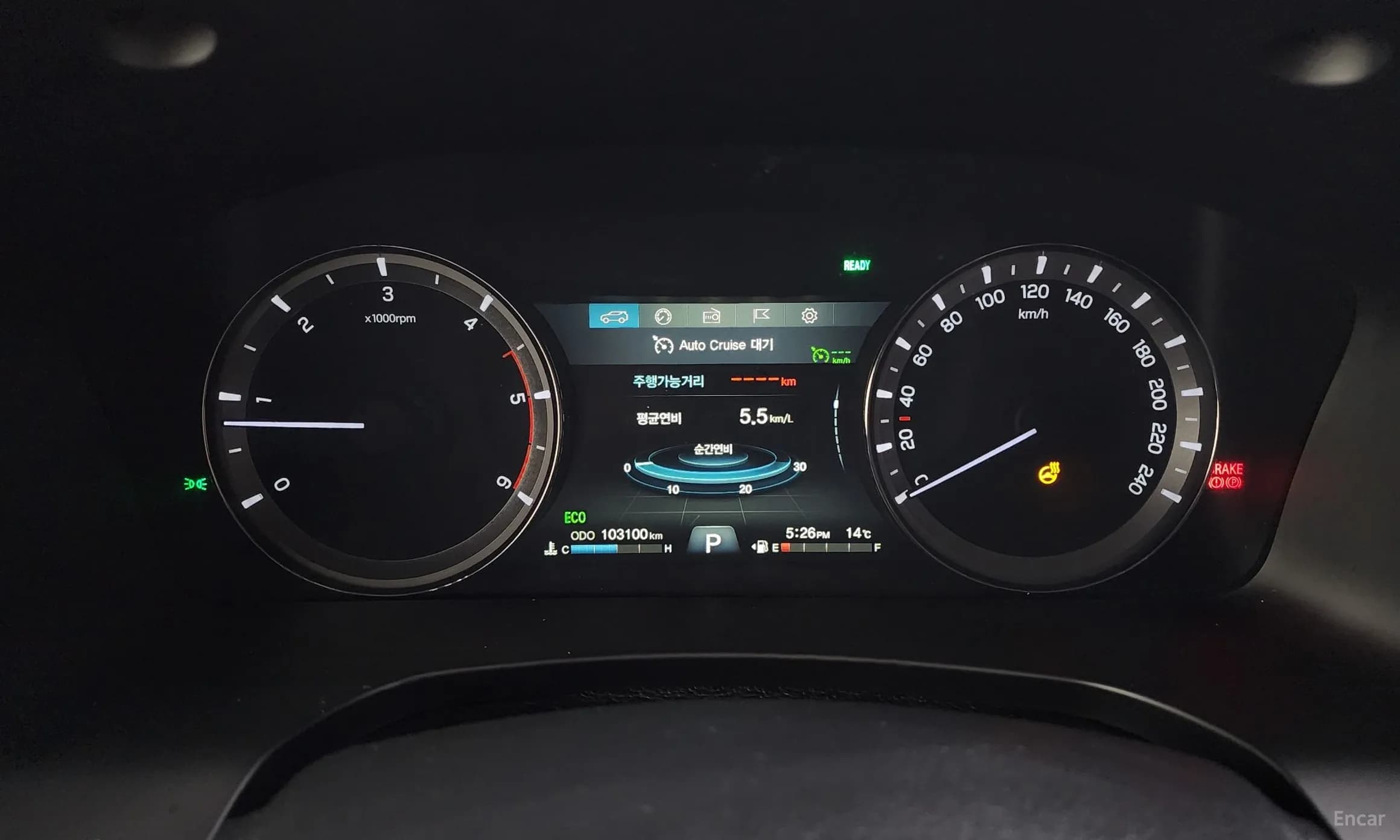 Rexton Sports