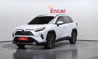 RAV4 5th Generation