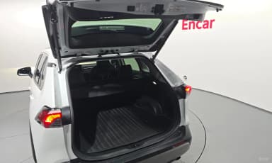 RAV4 5th Generation
