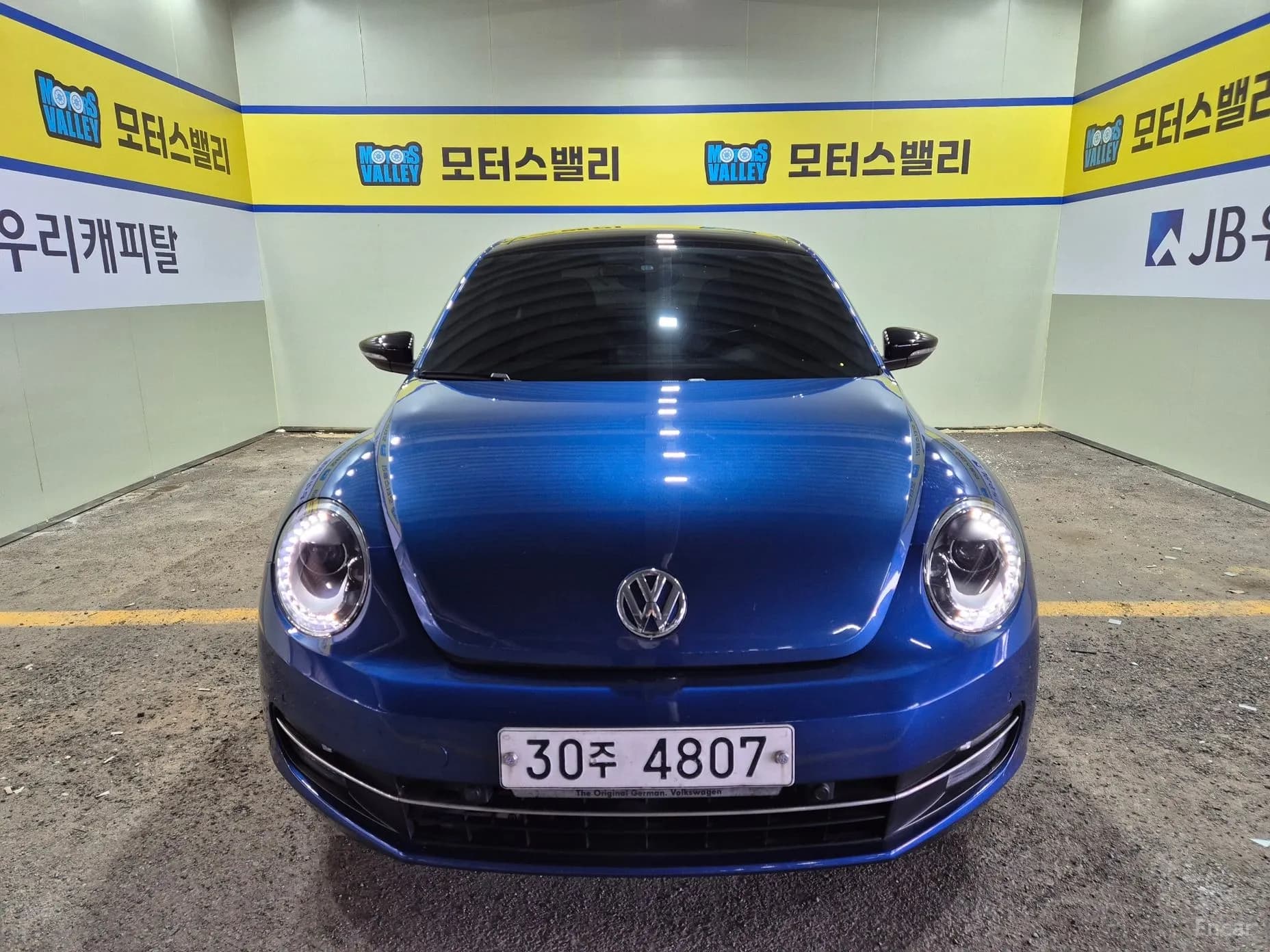 The Beetle