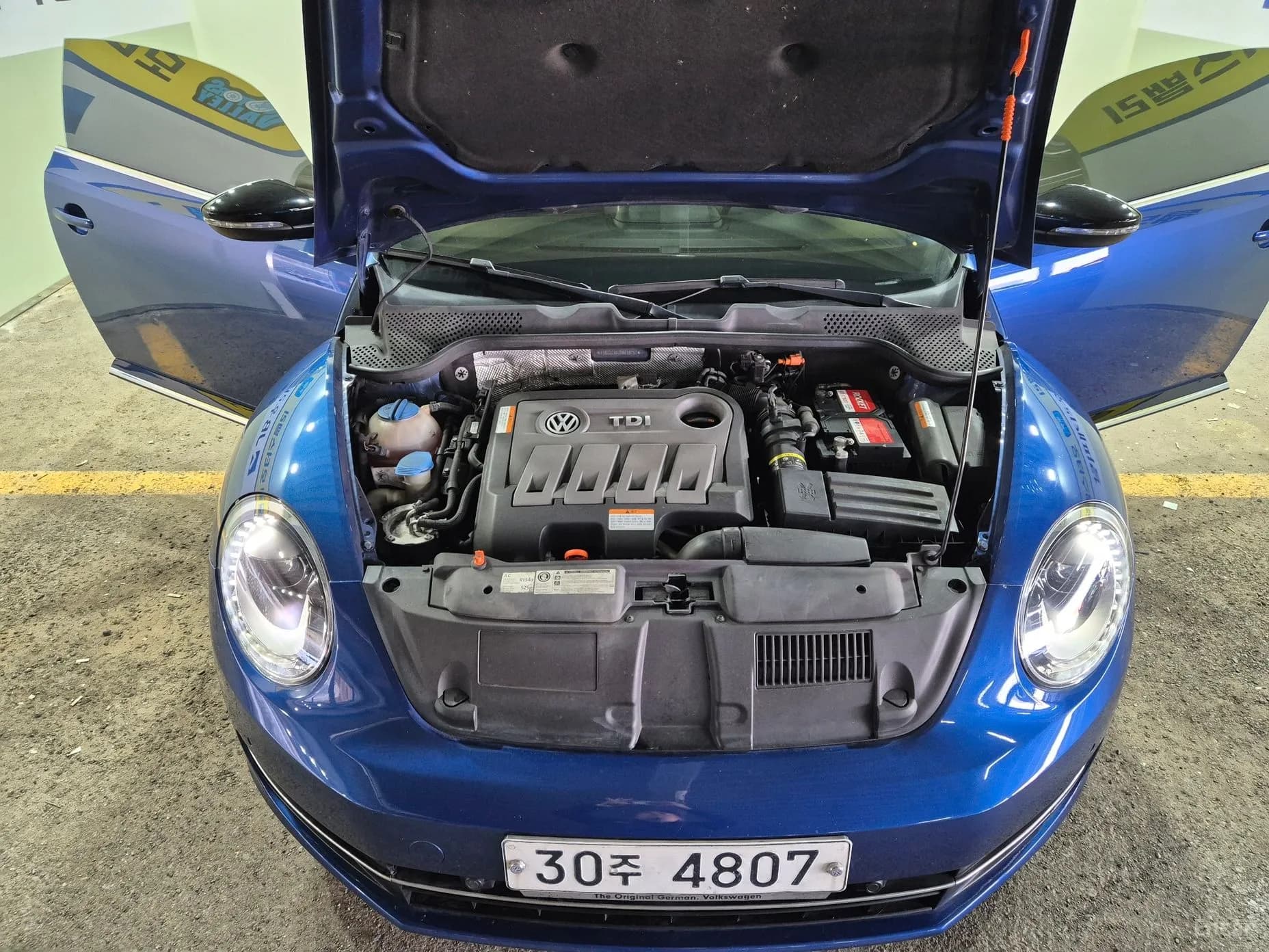 The Beetle