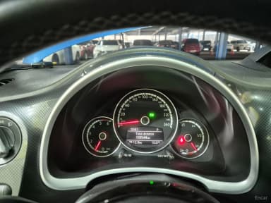 The Beetle