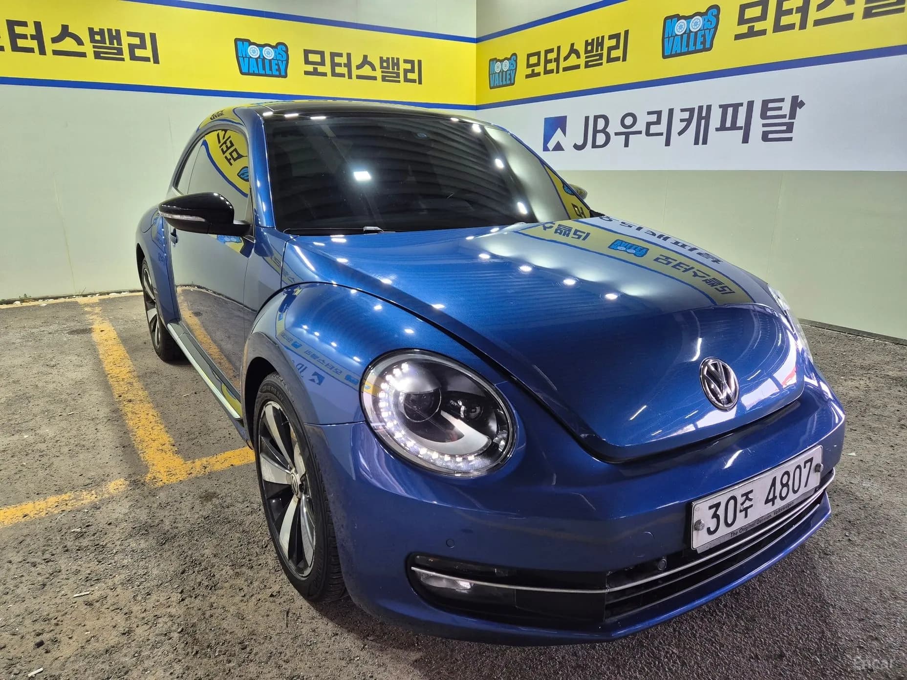 The Beetle