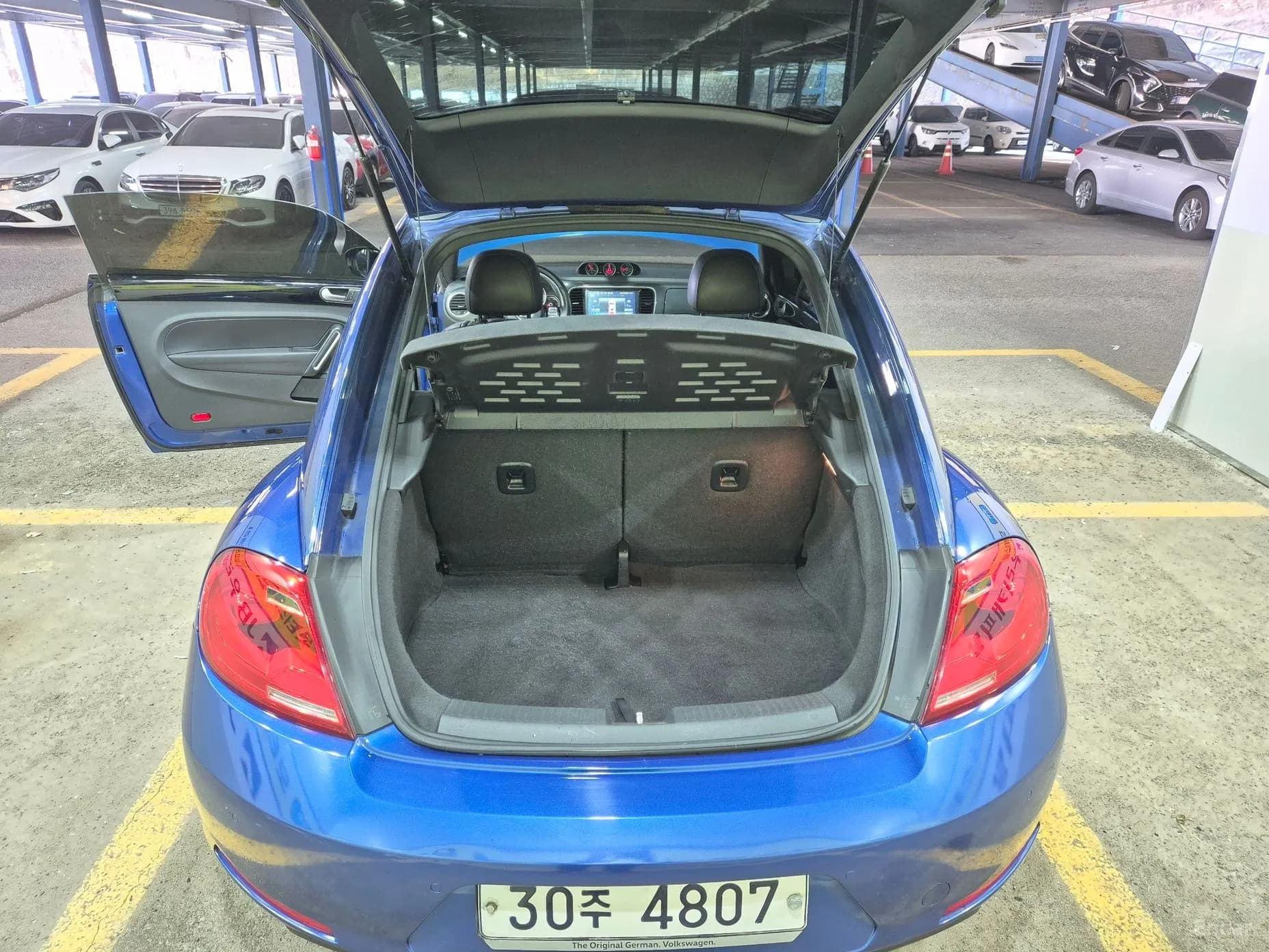 The Beetle