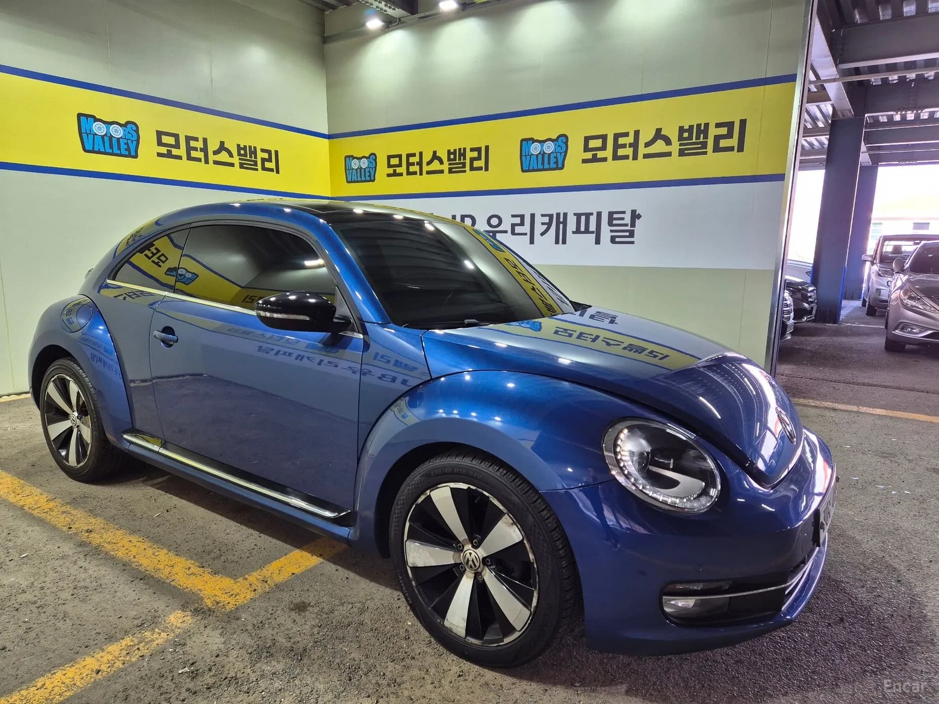 The Beetle