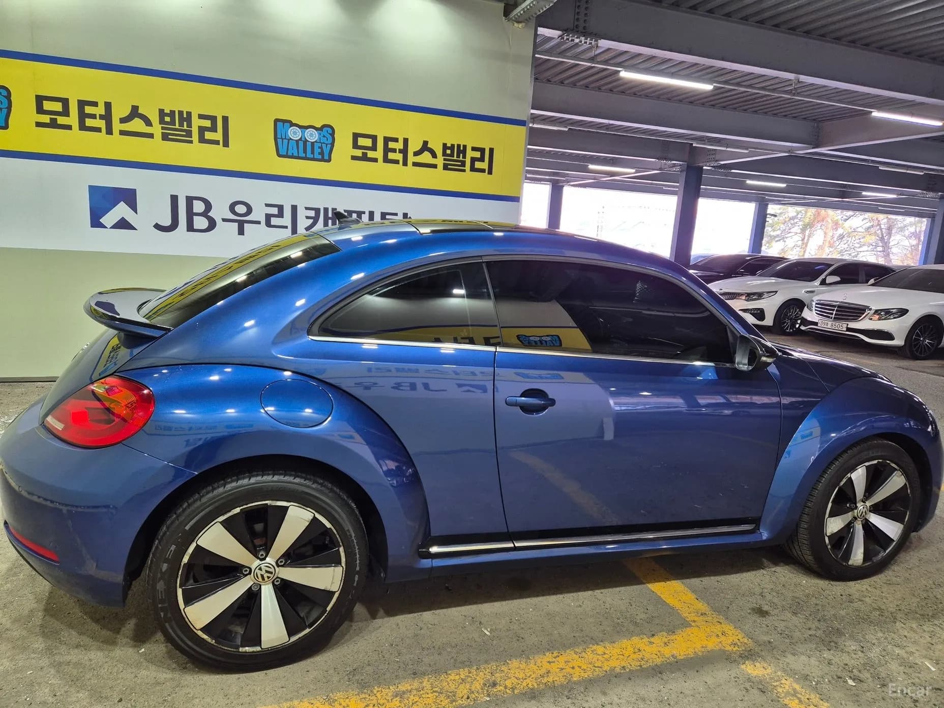 The Beetle