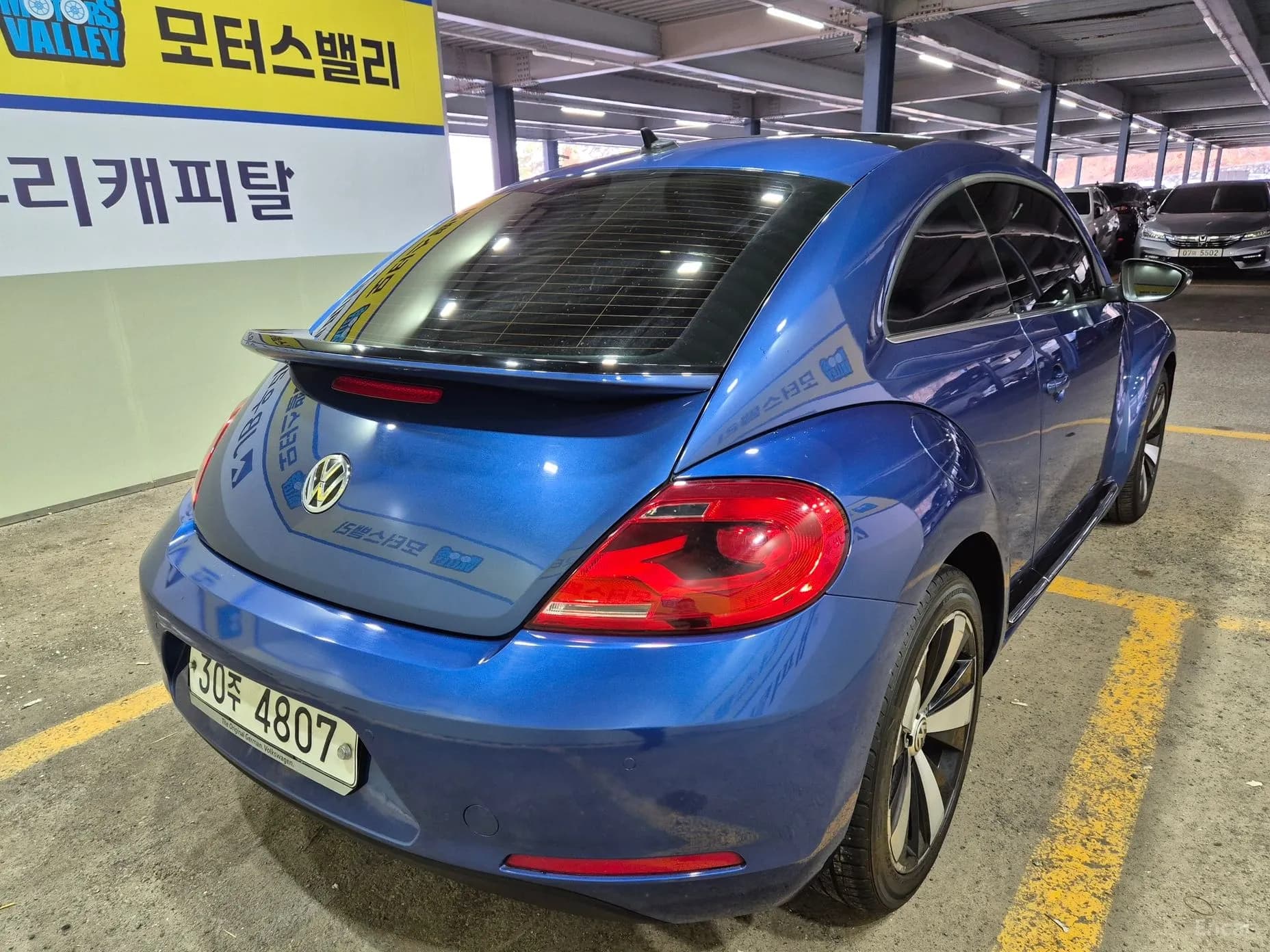 The Beetle