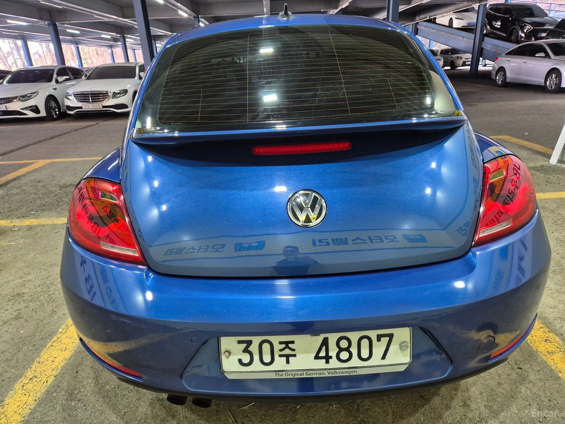 The Beetle