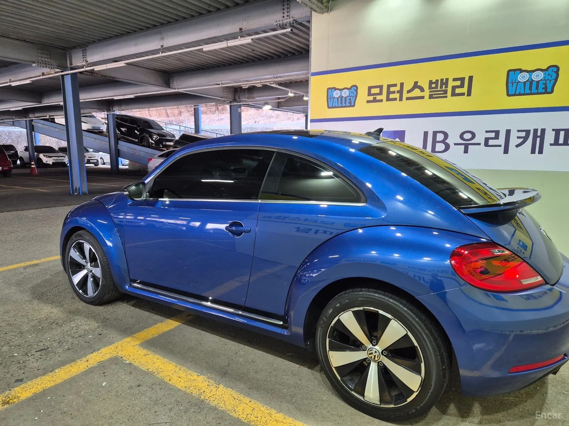 The Beetle