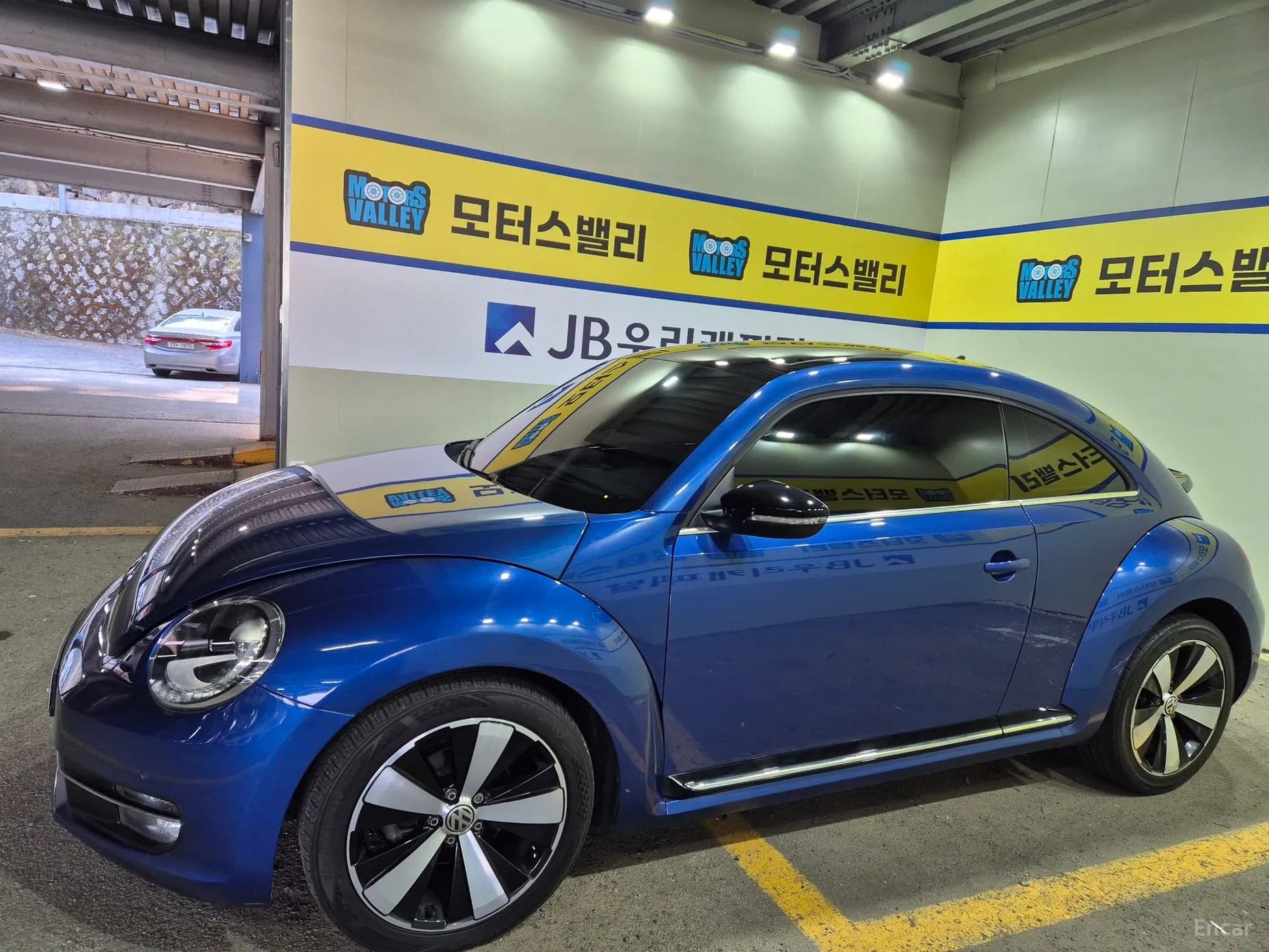 The Beetle