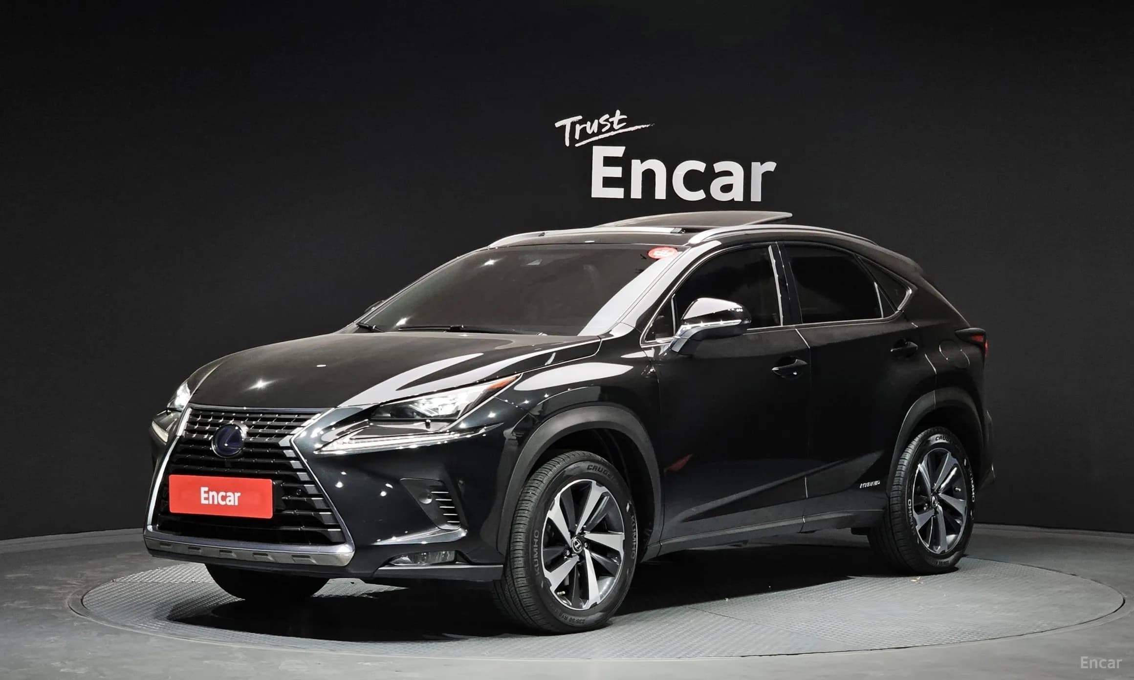 NX300h