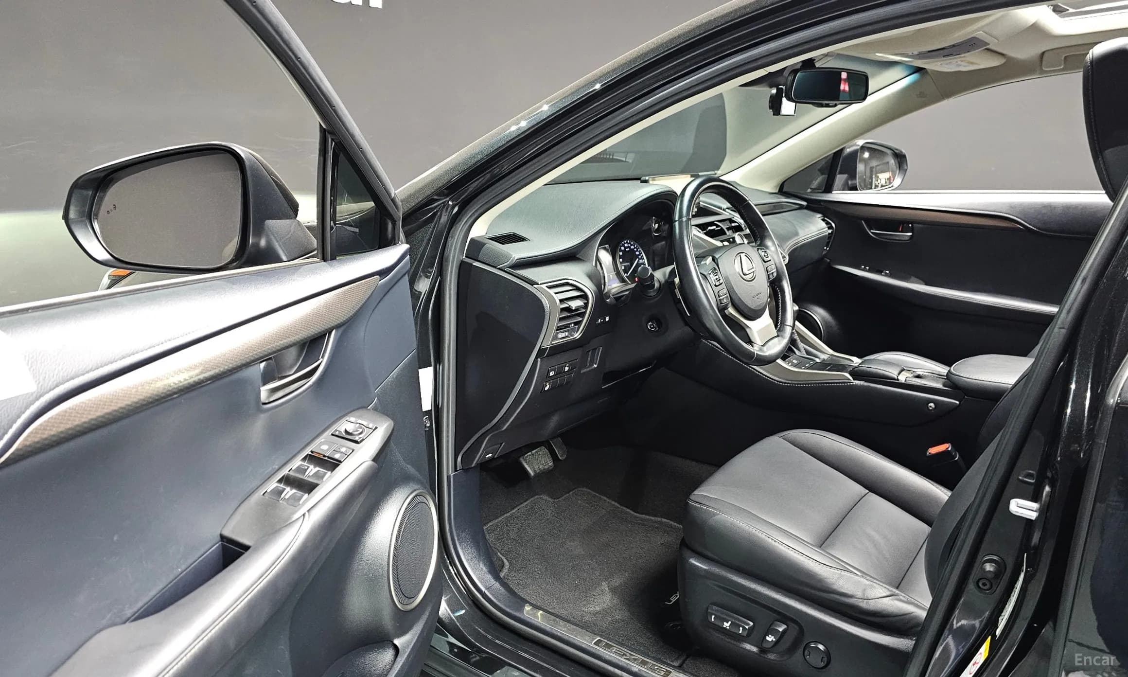 NX300h
