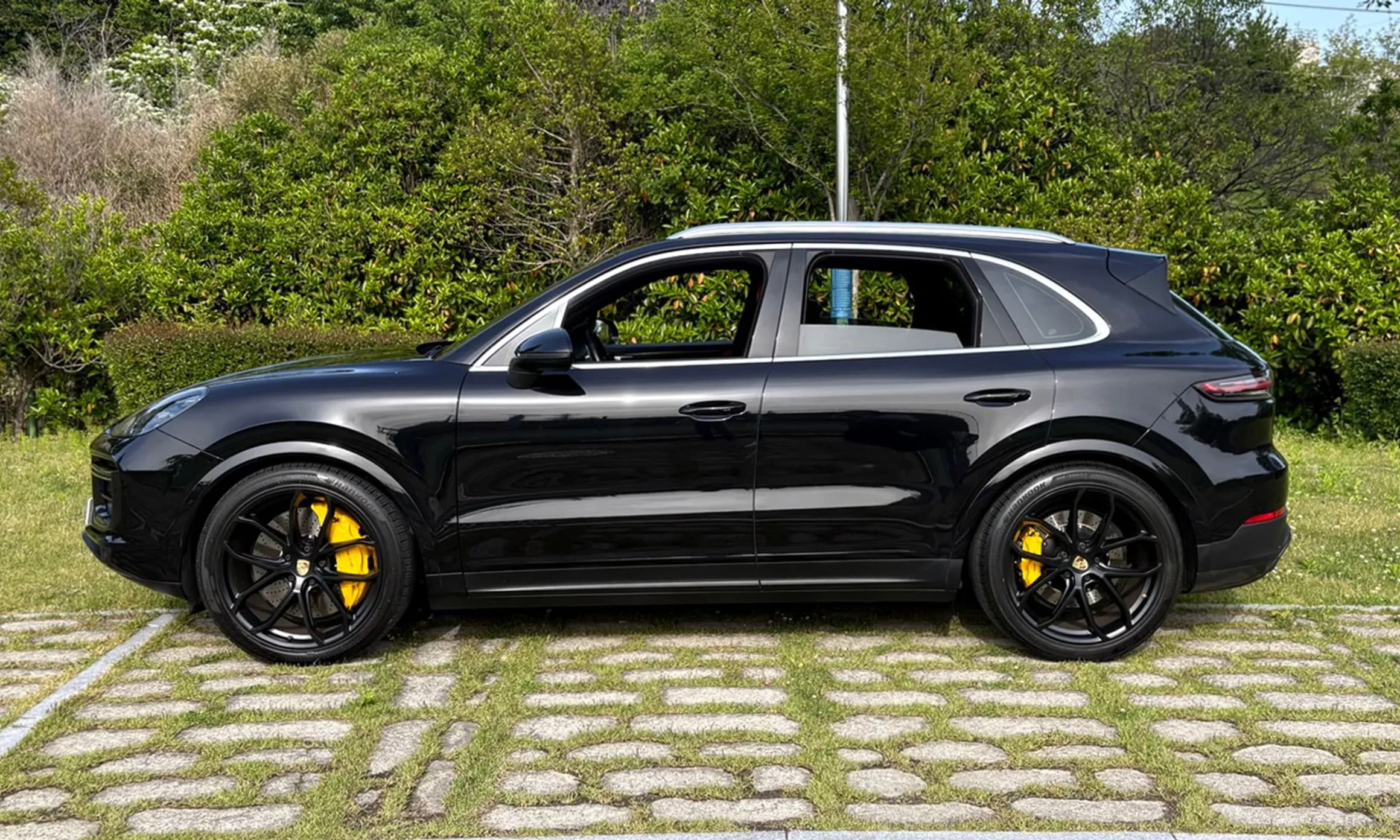 Cayenne (PO536)