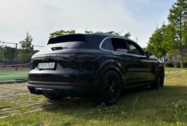 Cayenne (PO536)