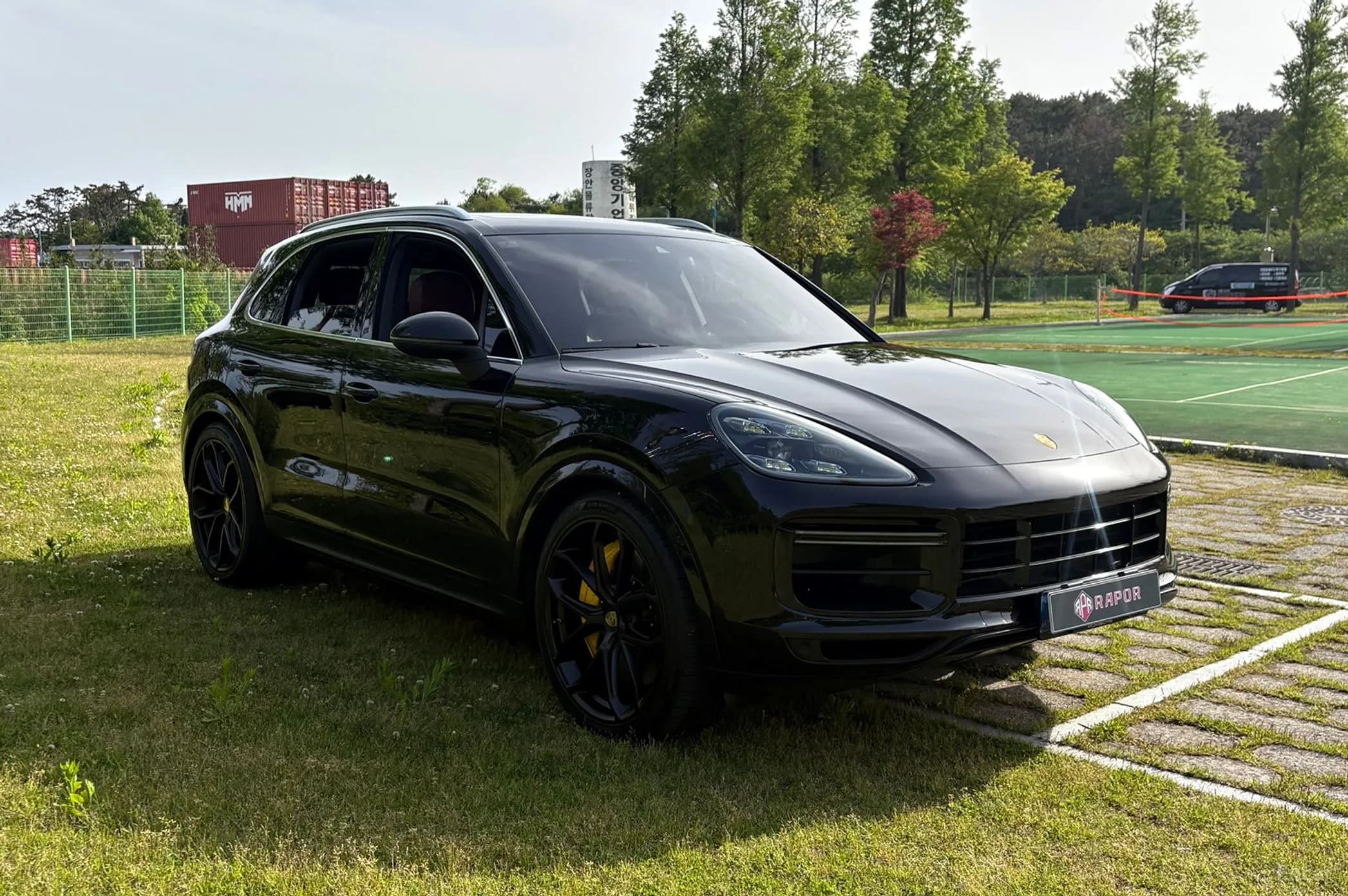 Cayenne (PO536)